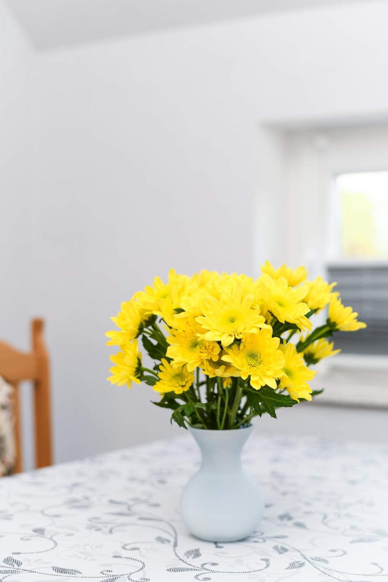 Ferienwohnung Nordmoor Blomberg  Luaran gambar